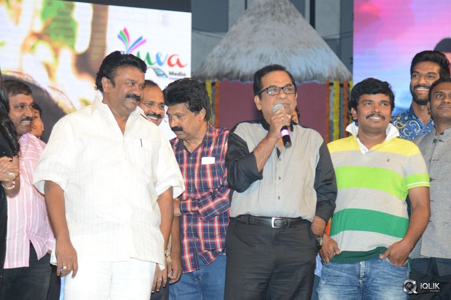 Vinavayya-Ramayya-Movie-Audio-Launch